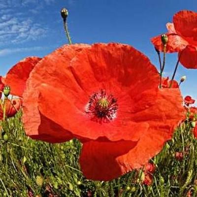 天博体育官方平台入口app下载